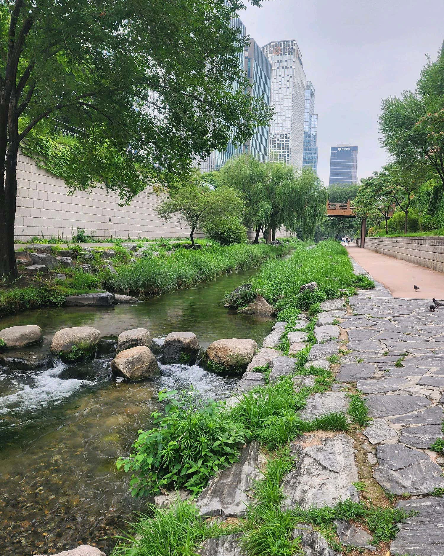 Cheonggyecheon Stream-image