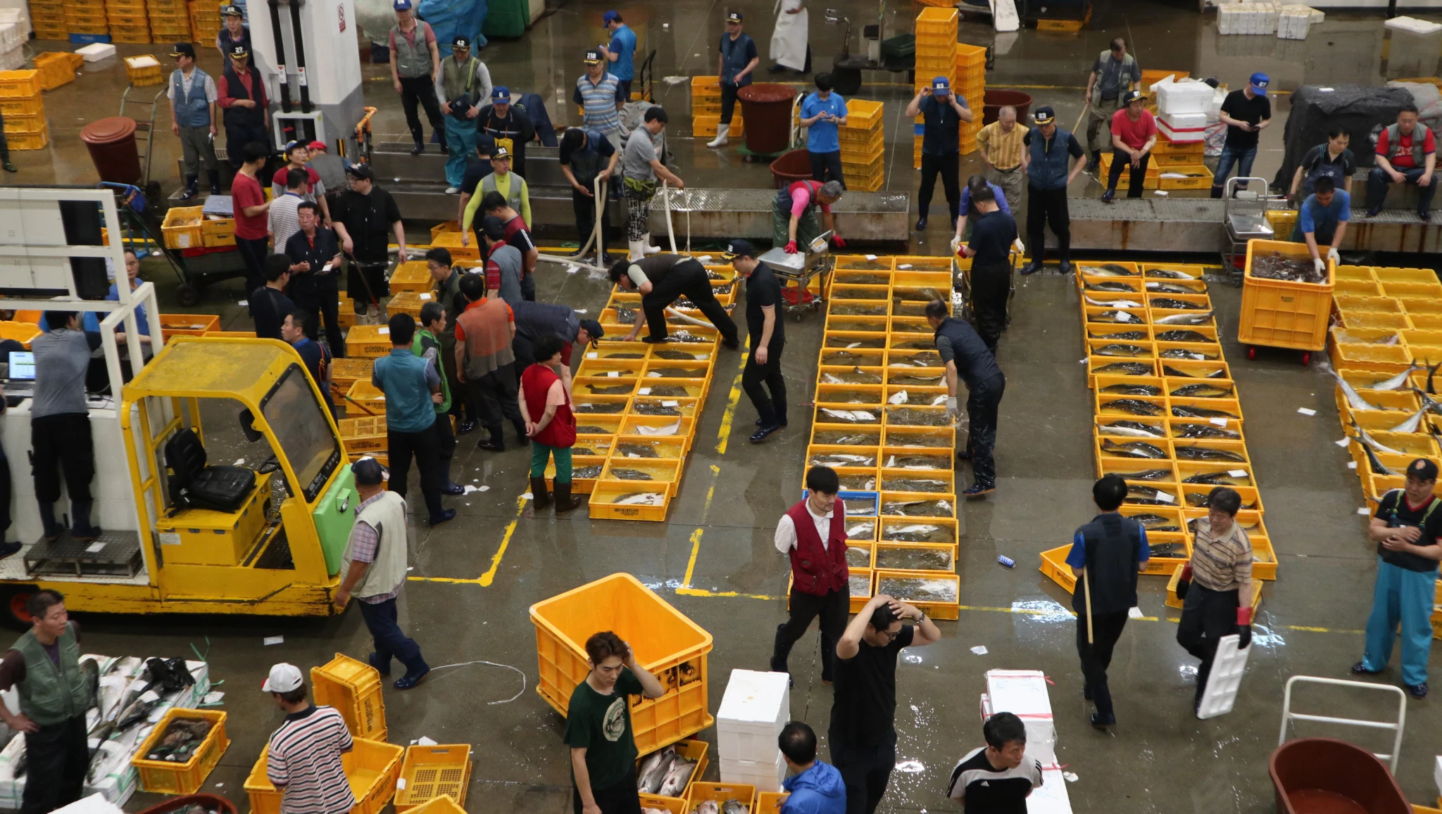 Noryangjin Fisheries Wholesale Market-image