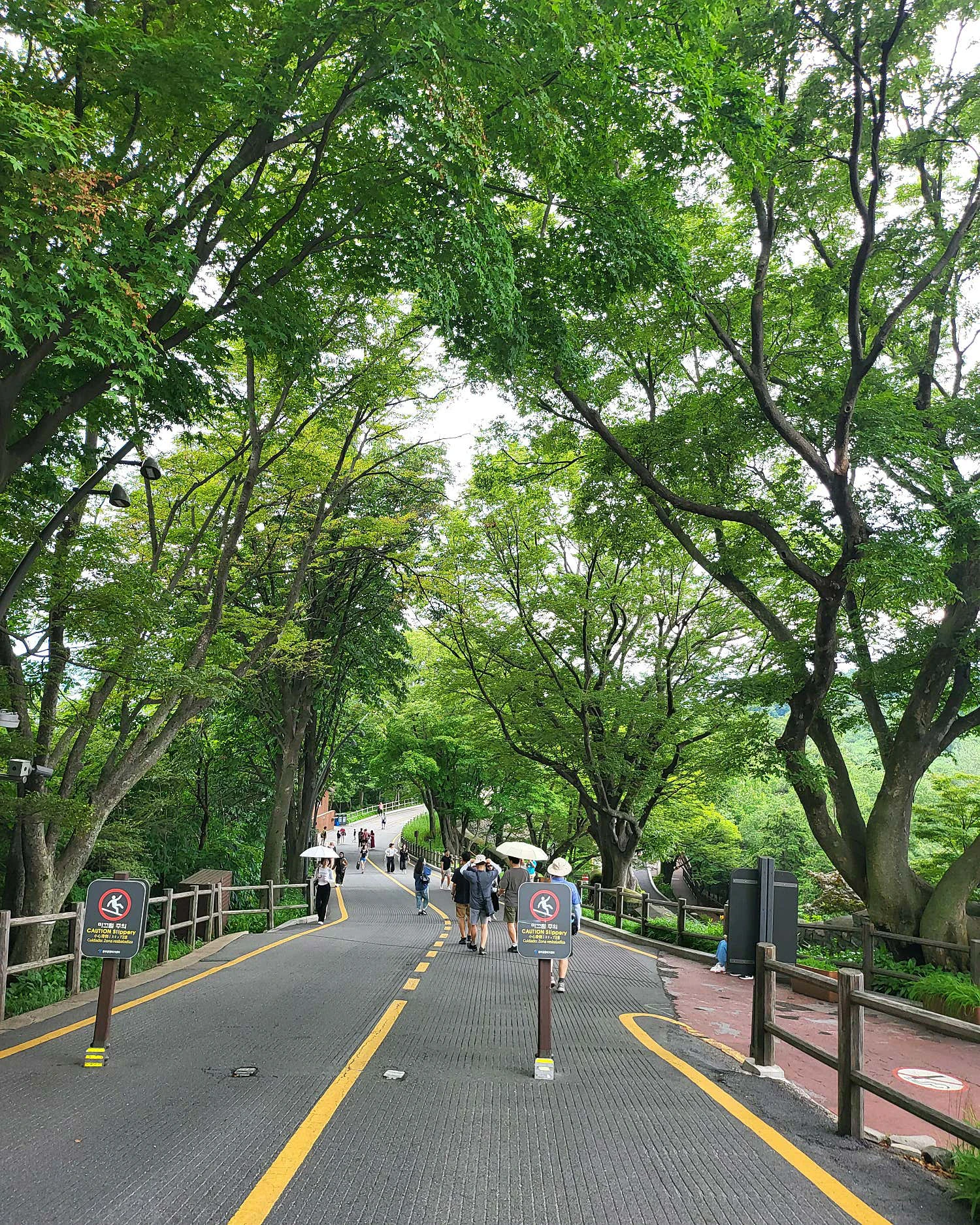 Namsan Seoul Tower-image