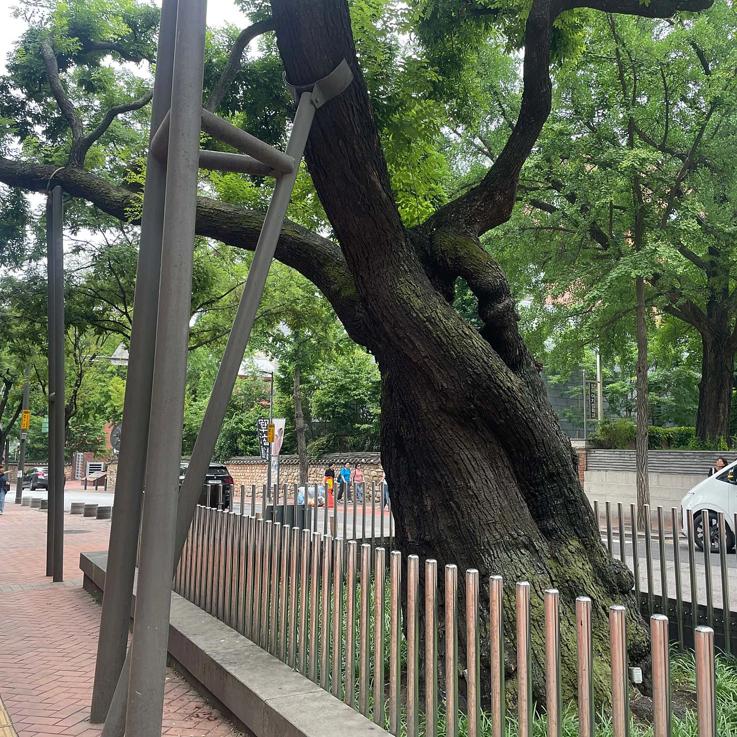 Deoksugung Stonewall Walkway-image