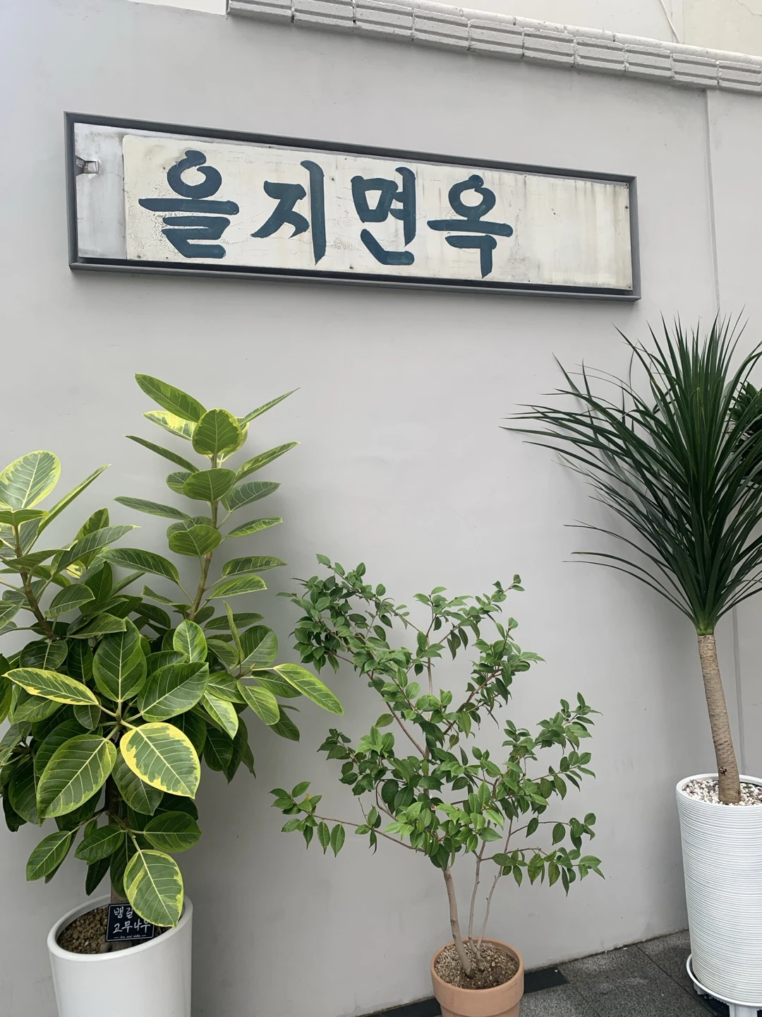 Euljimyeonok