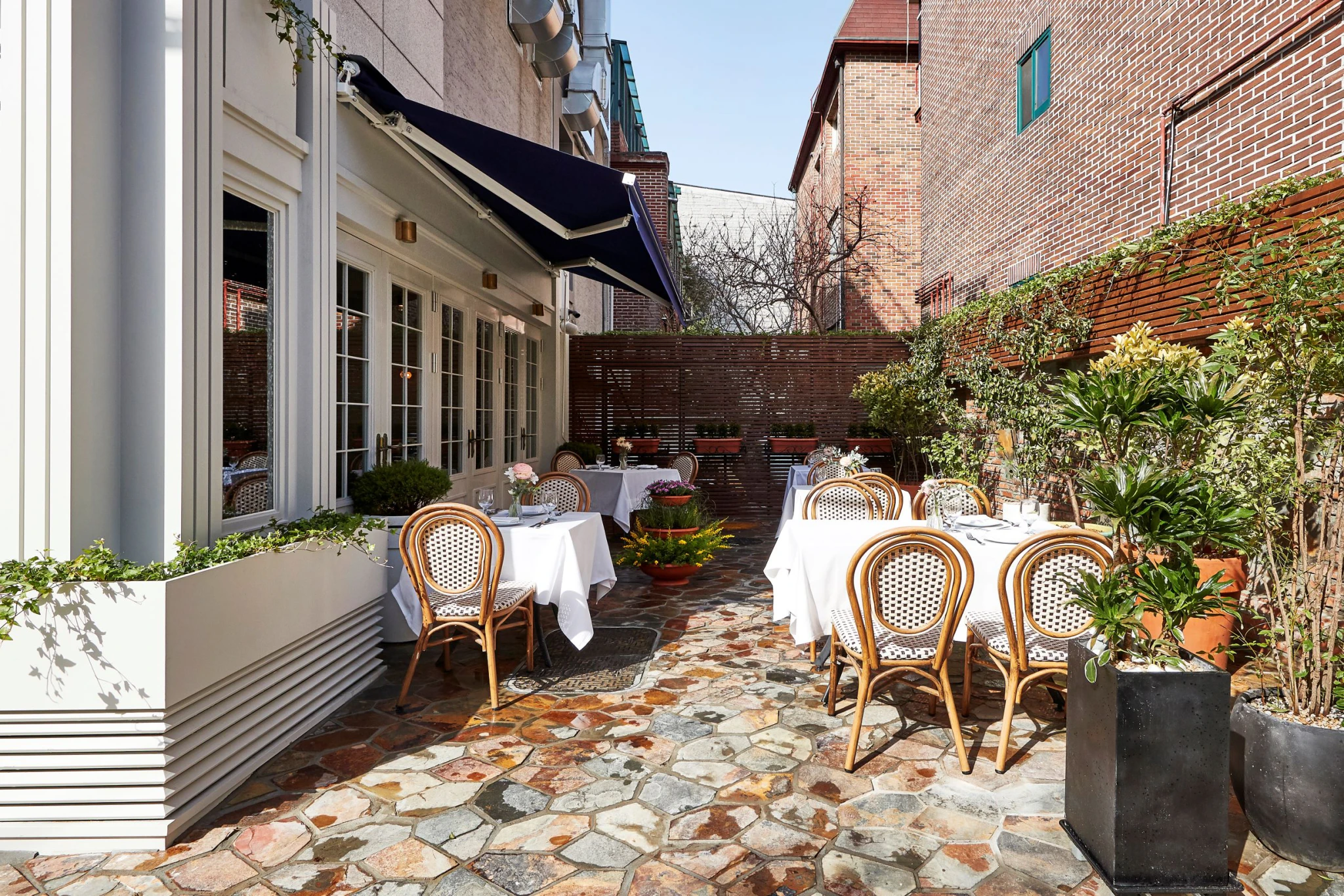 OSTERIA COTTO