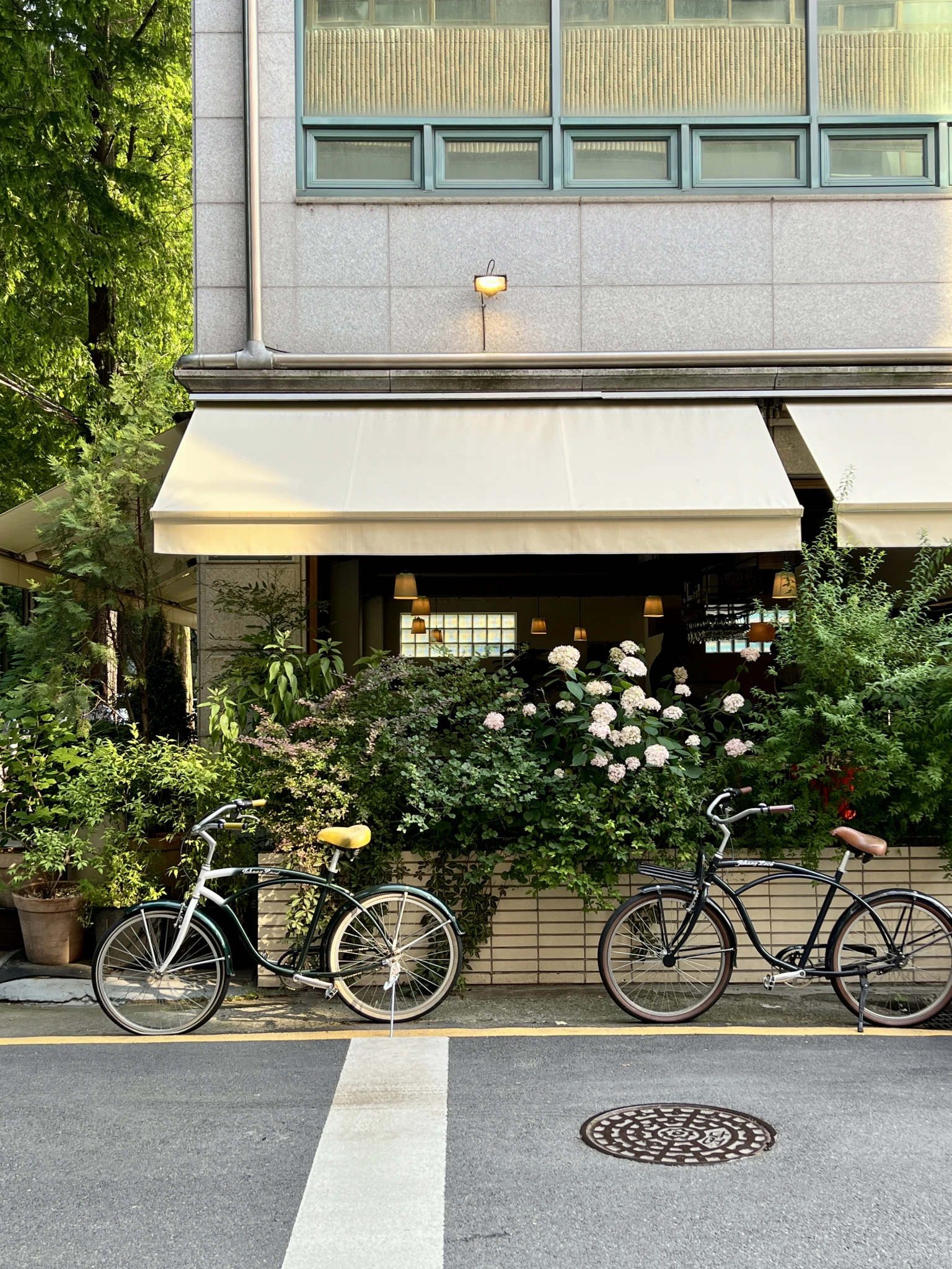 Manu terrace
